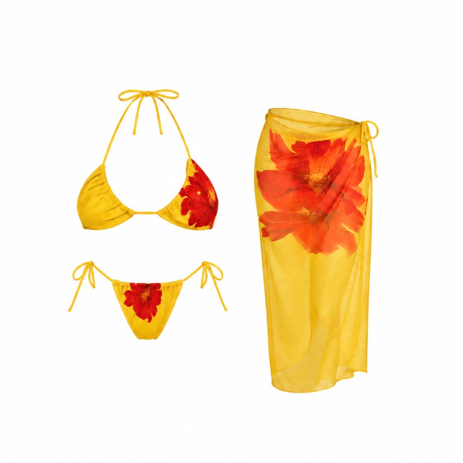 Collection Image